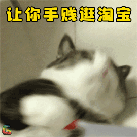 E姐领衔美少女们来分享双十一购物车了,我们的手已经不好了