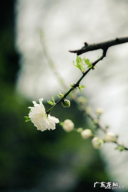 狂吃不胖的秘密,你get到了吗去哪里找