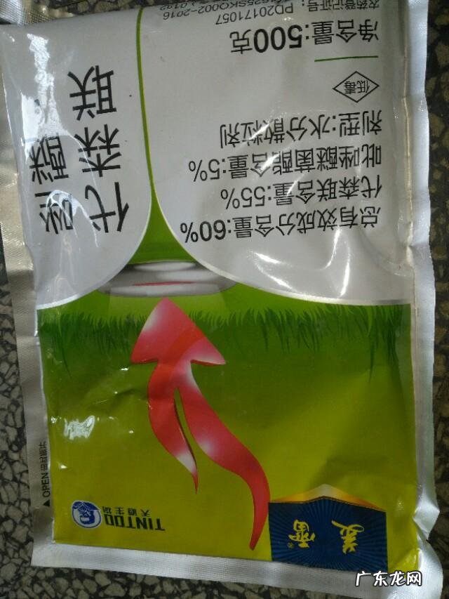 为什么放下碗想减肥,端起碗就忘记了,有和我一样的吗