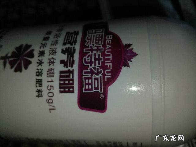 为什么放下碗想减肥,端起碗就忘记了,有和我一样的吗