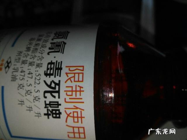 为什么放下碗想减肥,端起碗就忘记了,有和我一样的吗