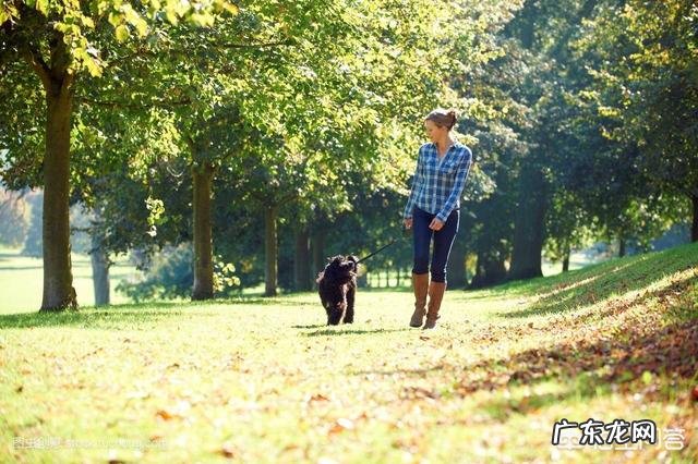 有哪些快速减肥的技巧能分享