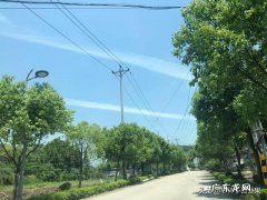 关于减肥，只有我觉得运动之后没有胃口吗不觉得控制食欲很难啊