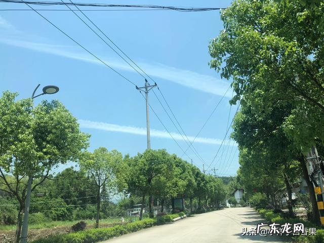 关于减肥,只有我觉得运动之后没有胃口吗不觉得控制食欲很难啊