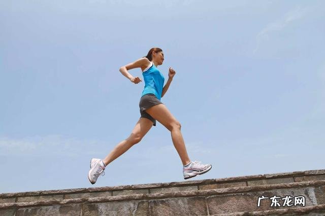 十二生肖中,最长寿的生肖是哪一个?