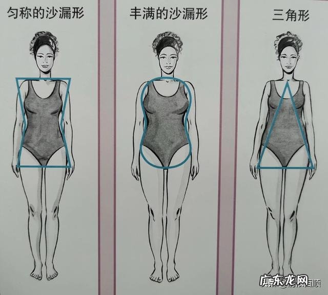 女性常见的体型有哪些 女性常见的体型有哪些