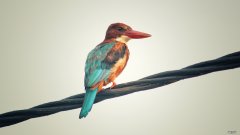 拔罐拔出了传染病，你怎么看