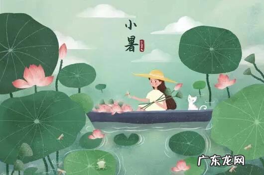 夏天吃什么水果可以养生?