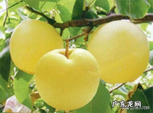 在中国,年收入多少幸福感最强为什么