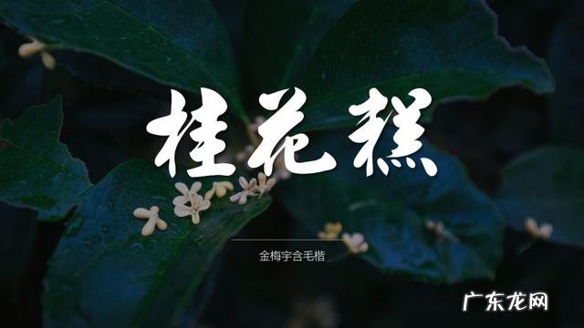 有哪些“高ji感”的中文/英文/日文字体，如何运用？