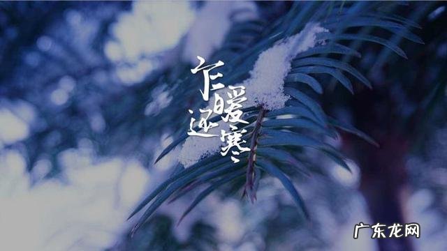 有哪些“高ji感”的中文/英文/日文字体，如何运用？