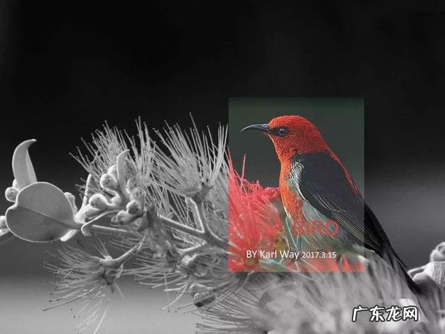 有哪些“高ji感”的中文/英文/日文字体,如何运用?