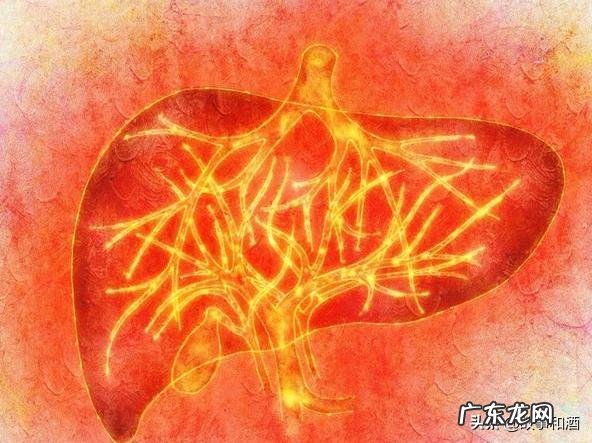 熬夜肝火旺，长痘，还有点口臭，喝什么茶可以降肝火？