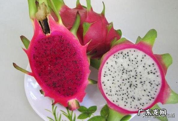 熬夜肝火旺,长痘,还有点口臭,喝什么茶可以降肝火?