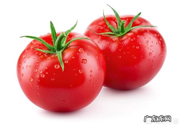 哪些食物对夏季防晒有用？