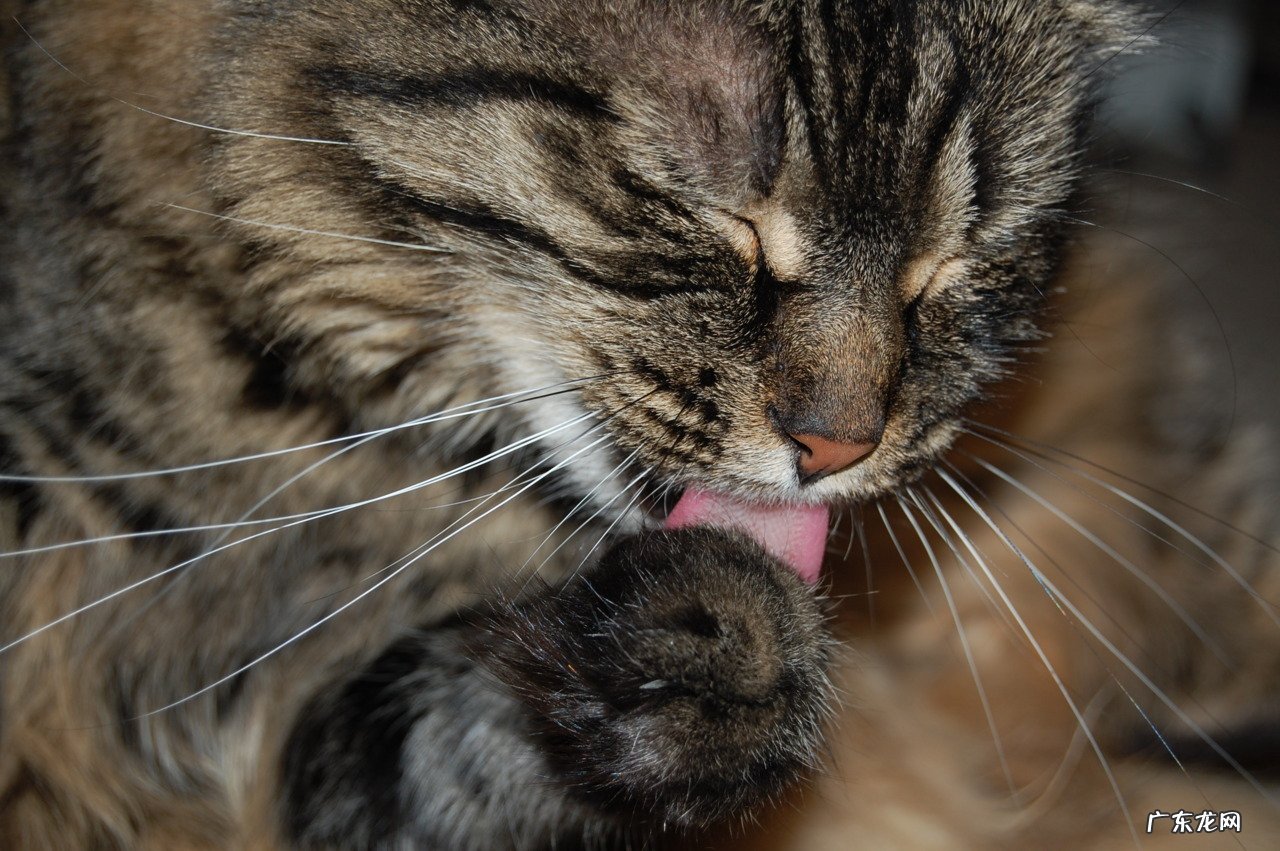 有没有一种淡化色斑、黄褐斑的祛斑产品值得推荐