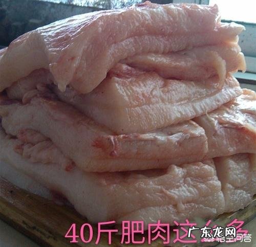 请帮我制定一个减肥计划,三个月瘦四十斤