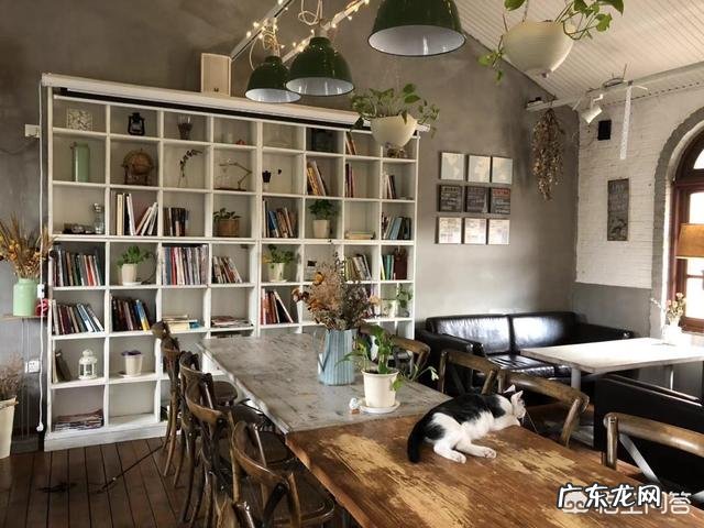 直升号怎么才能接到能量的平衡任务