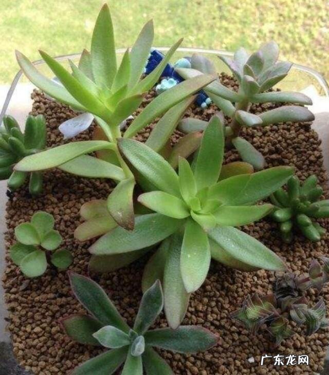 为什么有人越老看着越凶说明什么问题