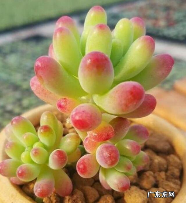 为什么有人越老看着越凶说明什么问题