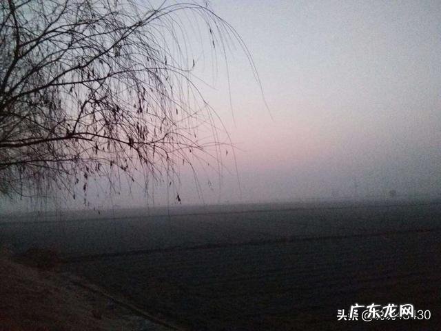 “普通人,不要买家庭轿车,不划算”你怎么看