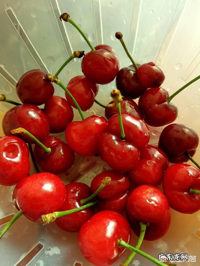 称体重早上称还是晚上称比较准?