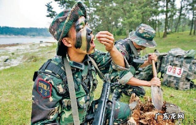 你认为武僧一龙和太极宗师王占军谁厉害?