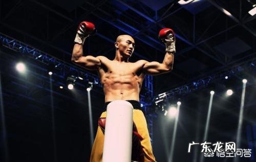 你认为武僧一龙和太极宗师王占军谁厉害?