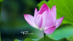 如何在短时间内，从140斤瘦到100斤？