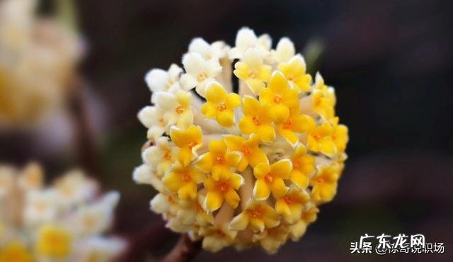 有的业务员口才并不好,可是销售业绩却非常棒,这是为什么