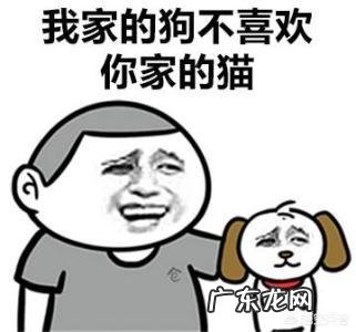 “再多的心灵鸡汤,都不如现实狠狠甩一耳光来得真实。”你怎么看