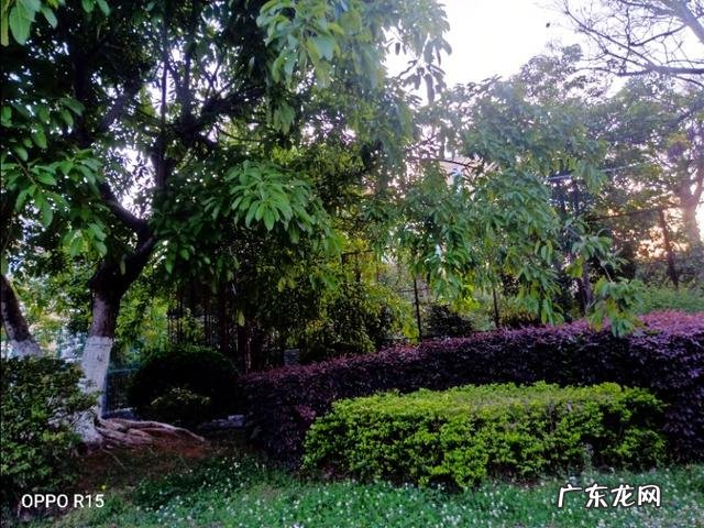 为什么有些人明明很穷,却很硬气,请问哪里来的资本