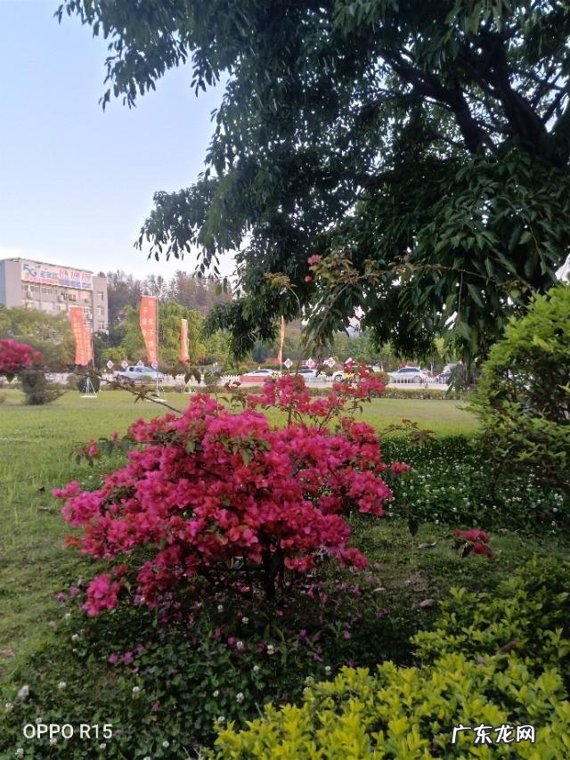 为什么有些人明明很穷,却很硬气,请问哪里来的资本