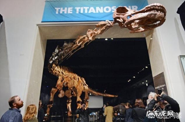 世界上最大的恐龙有多重？