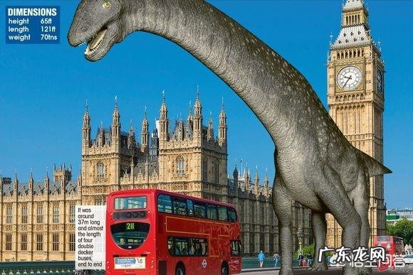 世界上最大的恐龙有多重？