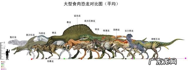 世界上最大的恐龙有多重？