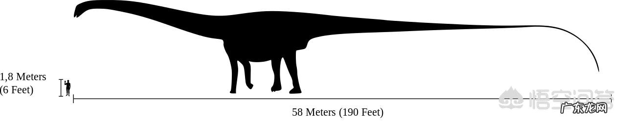 世界上最大的恐龙有多重？