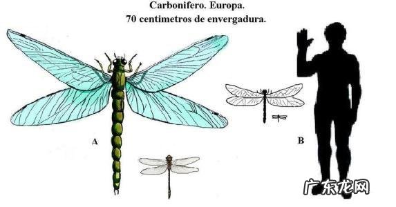 世界上最大的恐龙有多重？