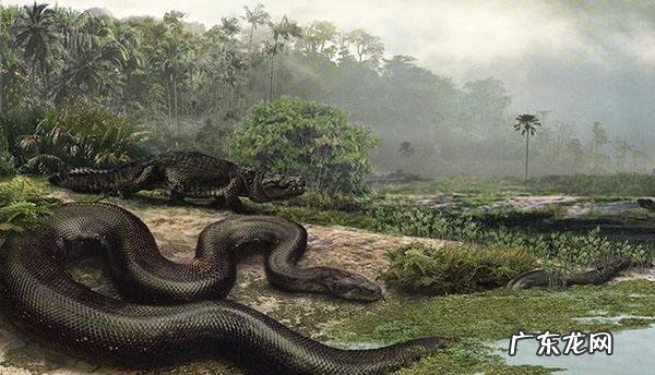 世界上最大的恐龙有多重?