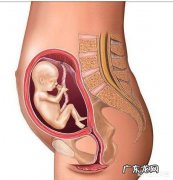 孕八个月，控制体重，没有怎么长肉，胎儿也会因此不长吗？