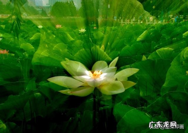 人像摄影作品中那些背景拉丝的照片是怎么拍摄出来的,有什么技巧