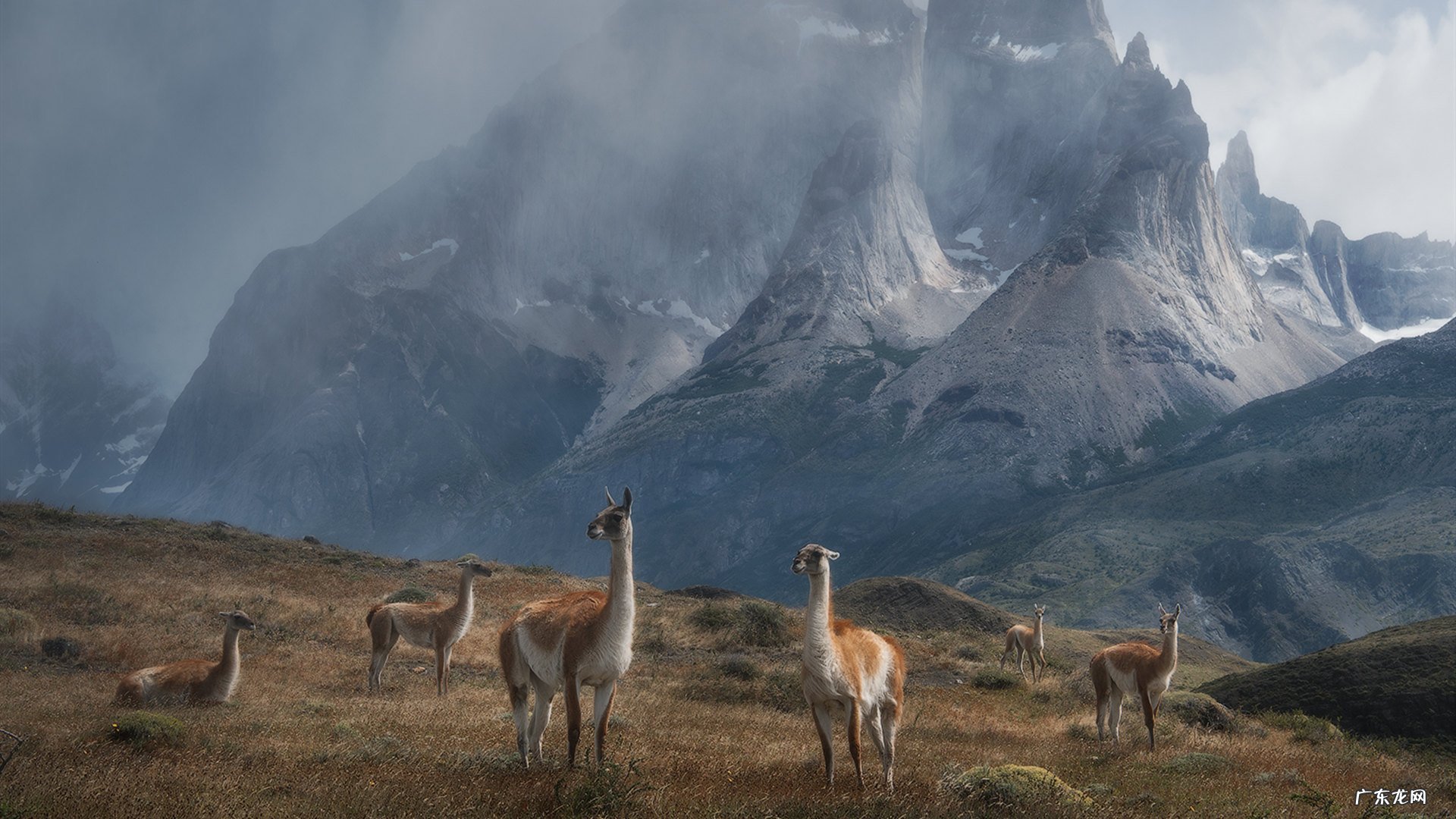 听说经络减肥效果很好,重庆经络减肥哪里比较有效啊