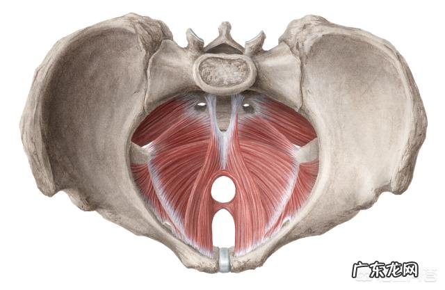 顺产一个月后如何进行盆底肌恢复锻炼
