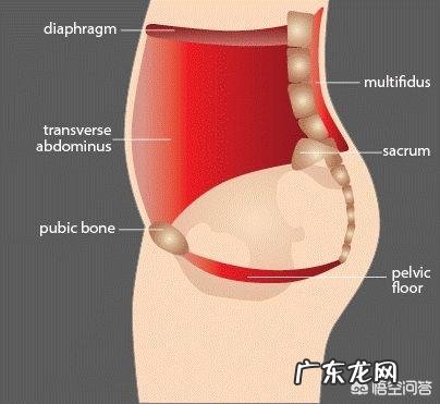 顺产一个月后如何进行盆底肌恢复锻炼