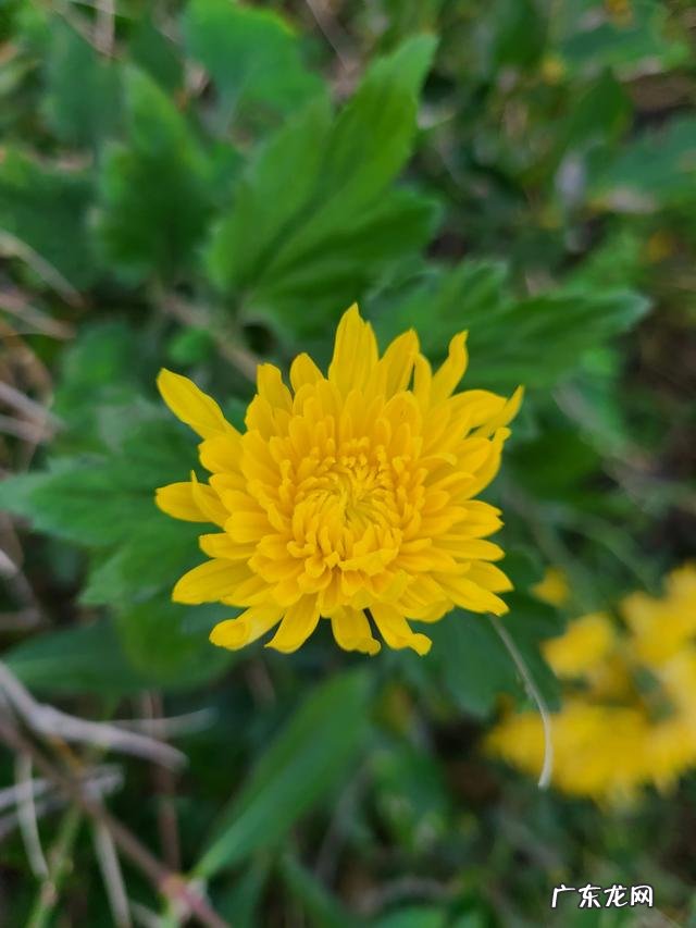 为什么在医院针灸zhi疗失眠及便秘不如私人诊所有效果