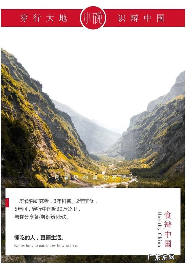 减肥别只知道少吃、不吃!营养师推荐3道最适合吃的减肥晚餐