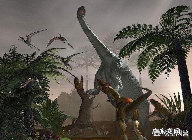 世界上最“高”的动物是哪些?