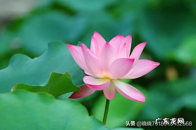 对女生来说,自己脸蛋好看重要还是身材好重要?