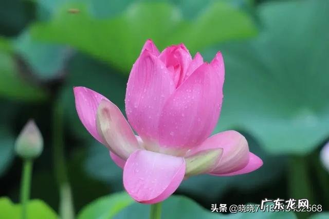 对女生来说,自己脸蛋好看重要还是身材好重要?