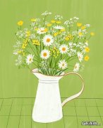 女性意外流产后，怎么备孕比较好